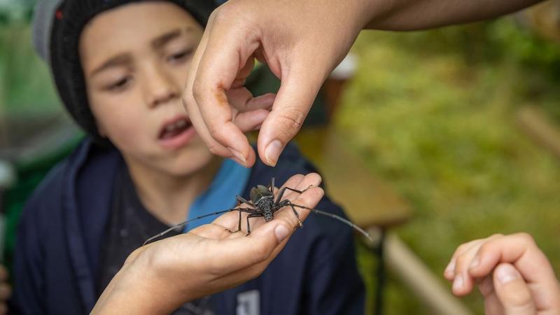 Íme egy egyedibb megfogalmazás a megadott szövegről:

