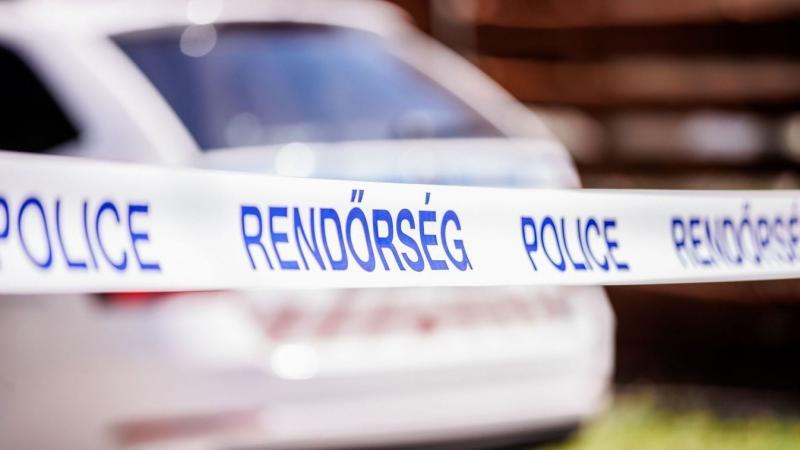 Feltárult a rejtélyes kutyás szemtanú, aki találkozott Kaszás Nikolettel.