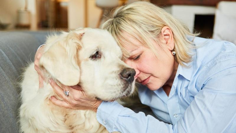 Így emelhetjük méltó módon a kedvencünk emlékét: itt található minden fontos információ a kisállatok hamvasztásával kapcsolatban.