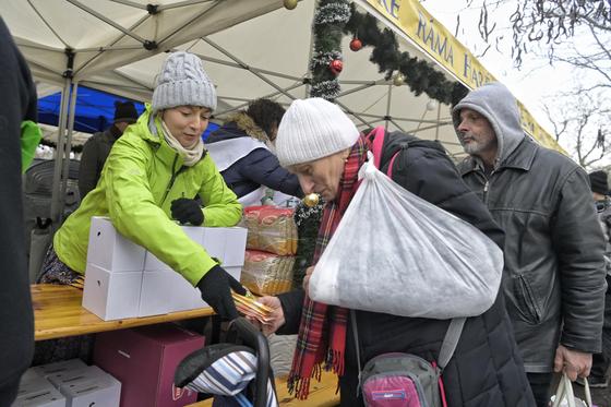 Kiterjedt tömeg gyűlt össze a Népligetben a krisnás ételosztás alkalmából – képek a helyszínről.