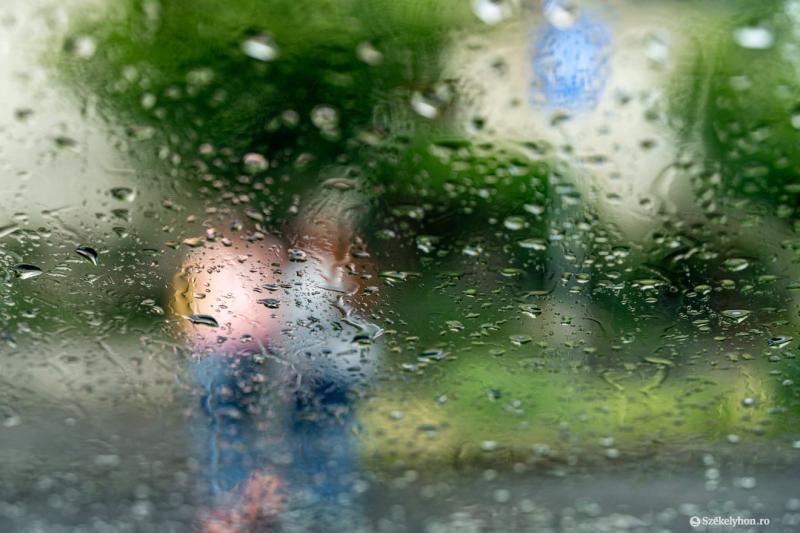 Májusi eső aranyat ér – de valóban csak ennyit?! | Krónika Online

A május csapadékos időszakának érkezése különleges jelentőséggel bír, hiszen a természet újjáéledését és a megújulást hirdeti. Az esőcseppek csodálatos módon táplálják a földet, és elősegí