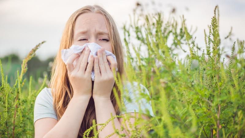 Figyelmeztetés az allergiások számára: már most elengedhetetlen, hogy megkezdjék a gyógyszeres terápiát.