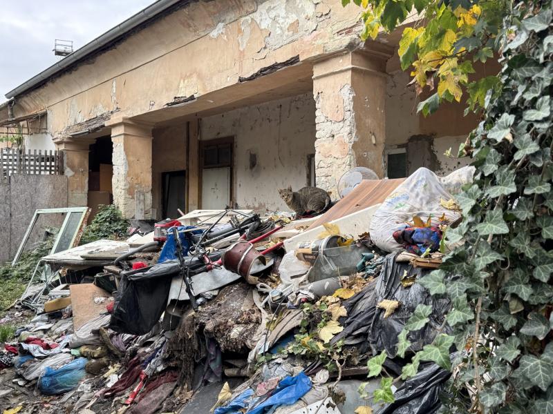 Kosz és fertőzésveszély: Egy elhagyott ház Komárom szívében (FOTÓK)

A komáromi belváros egy rejtett szegletében áll egy elhanyagolt ház, amely a környezetében élők aggodalmát kelti. Az épület állapota aggasztó, a falakat régi festék borítja, míg az udvar