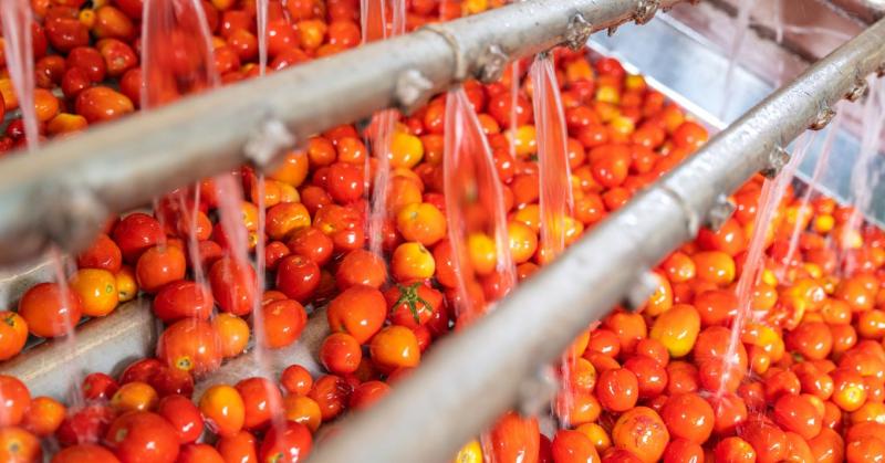 Az élelmiszeripar vízfogyasztása jelentős mértékű, és ennek megértése kulcsfontosságú a fenntartható fejlődés szempontjából. Az ágazat nem csupán a termeléshez, hanem a feldolgozáshoz, tároláshoz és szállításhoz is rengeteg vizet igényel. Például a növény